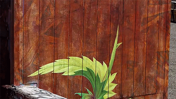 fleur-street-art-01