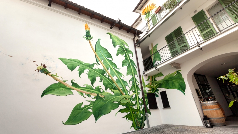 Des fleurs en street art envahissent la ville