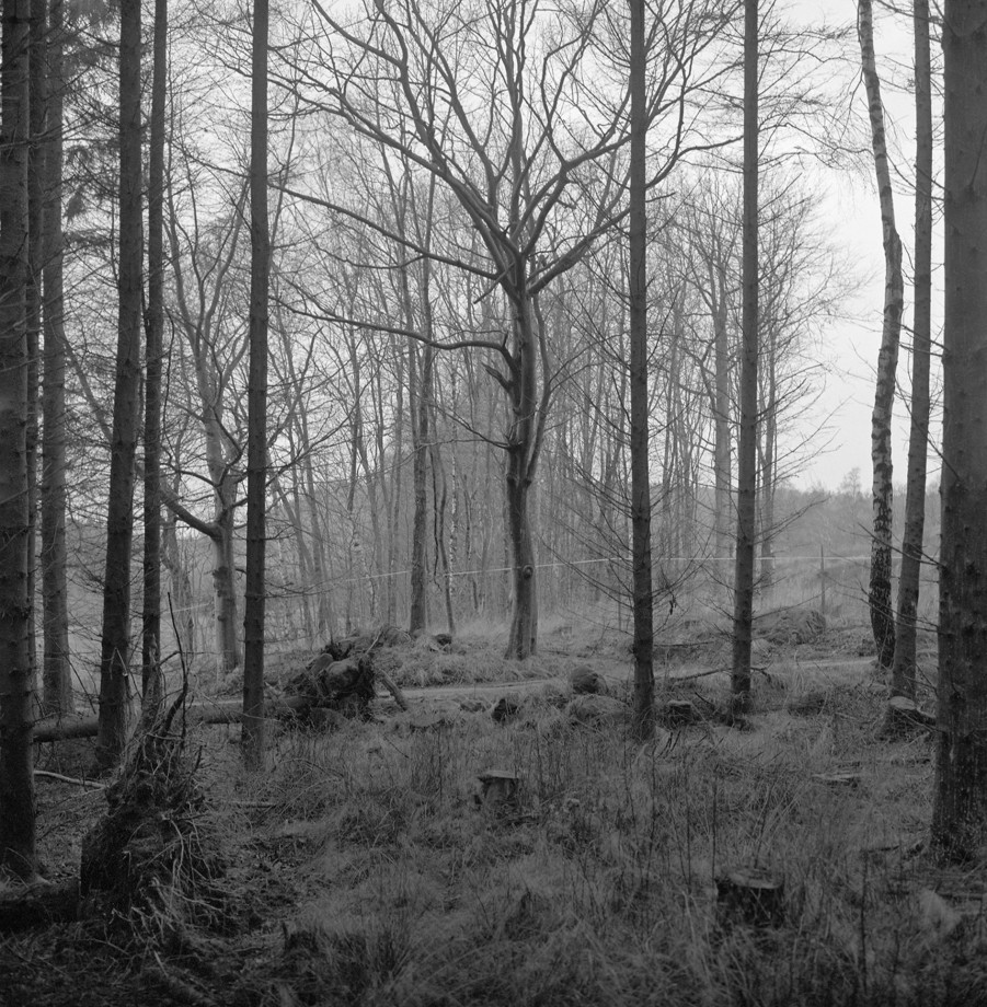 noir-blanc-carre-johansson-gerry-05