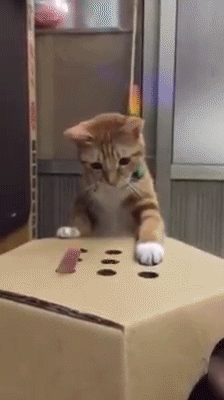 petit-gif-lbv-23