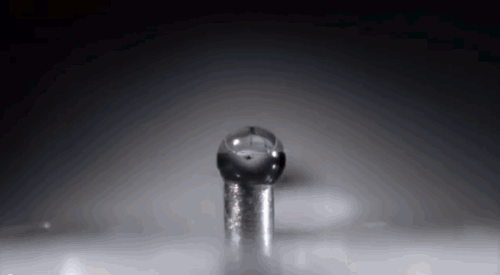 petit-gif-lbv-39
