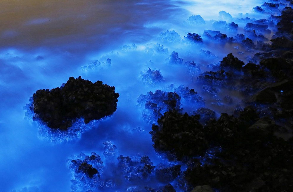 algues-fuorescentes-hong-kong-ocean-04