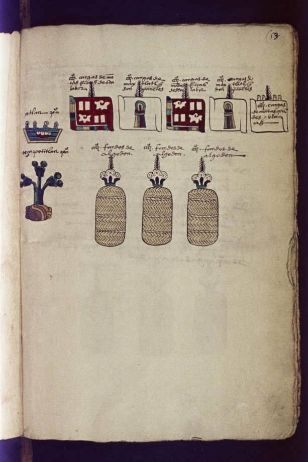 codex-mendoza-aztek-25