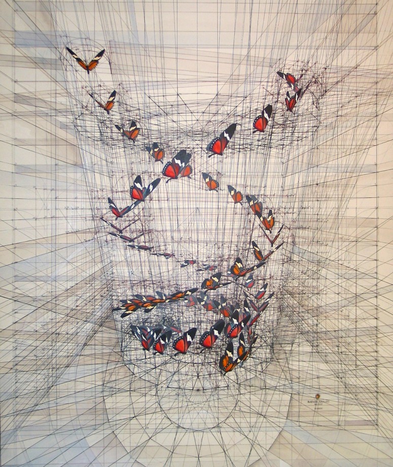 dessin-papillon-coquillage-02