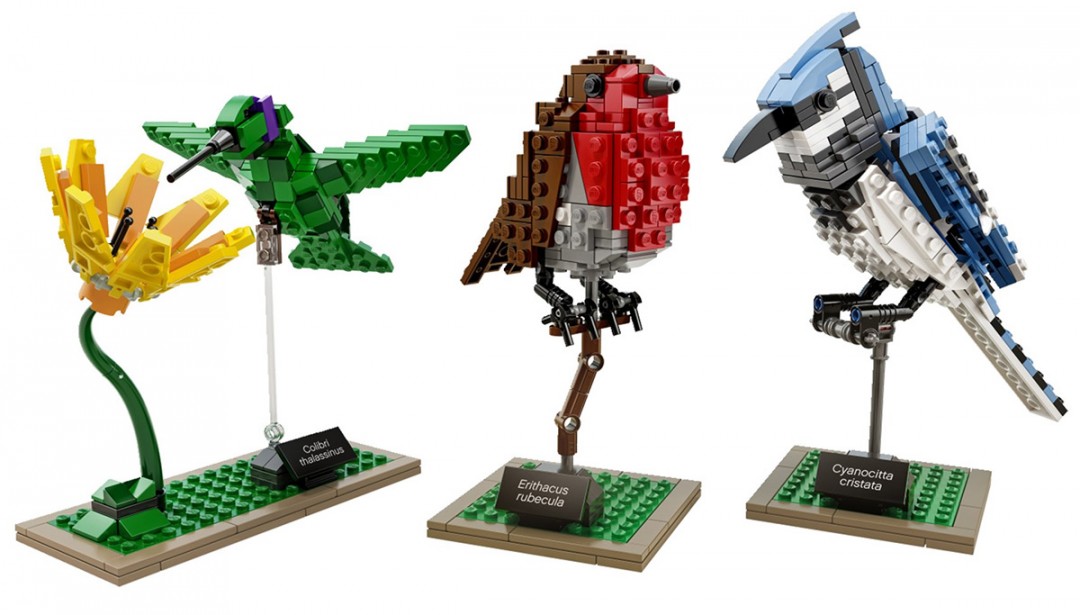 Les oiseaux Lego