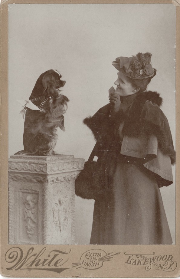 photo-chien-ancienne-11
