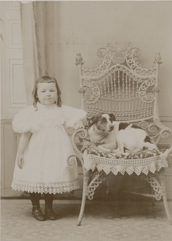 photo-chien-ancienne-13