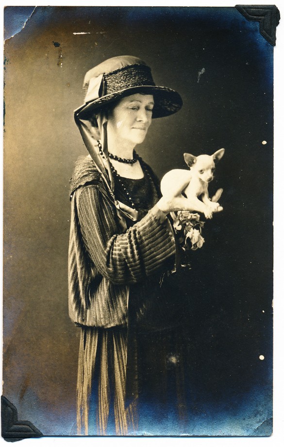 photo-chien-ancienne-14