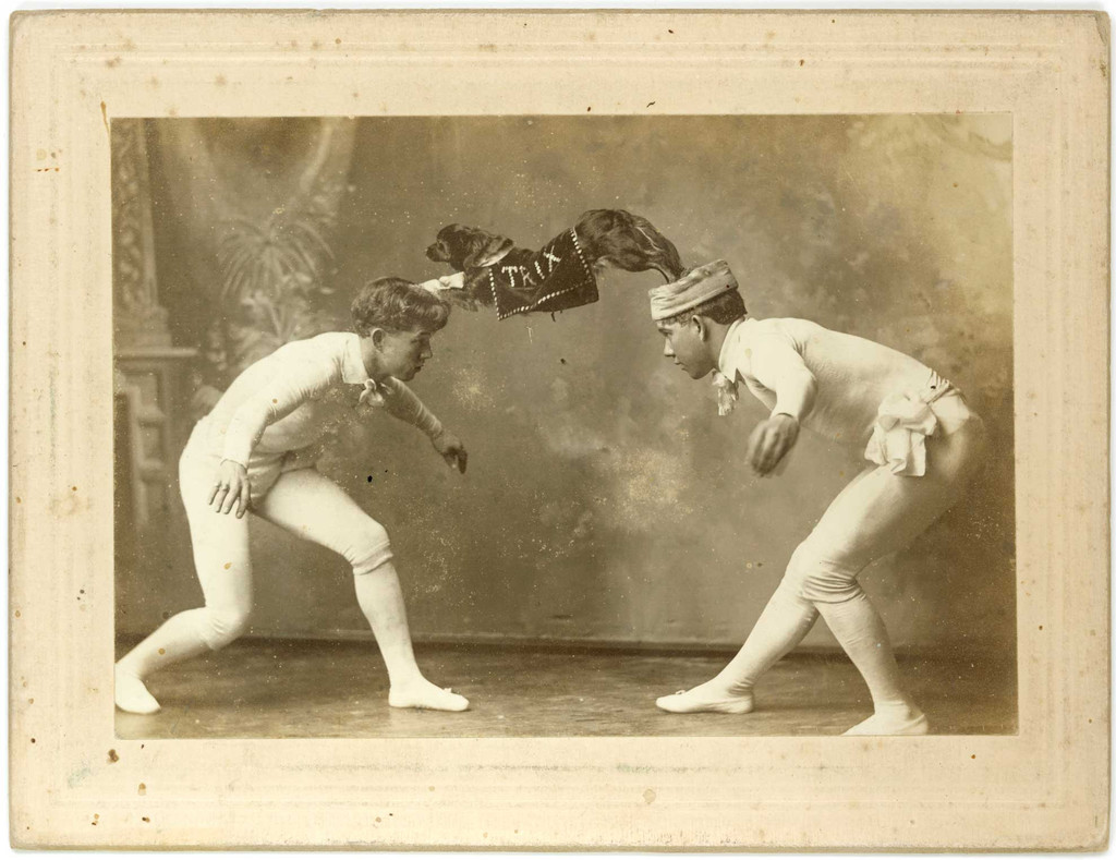 photo-chien-ancienne-20