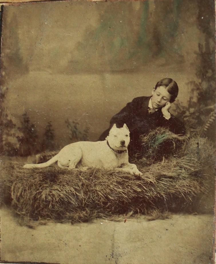 photo-chien-ancienne-23