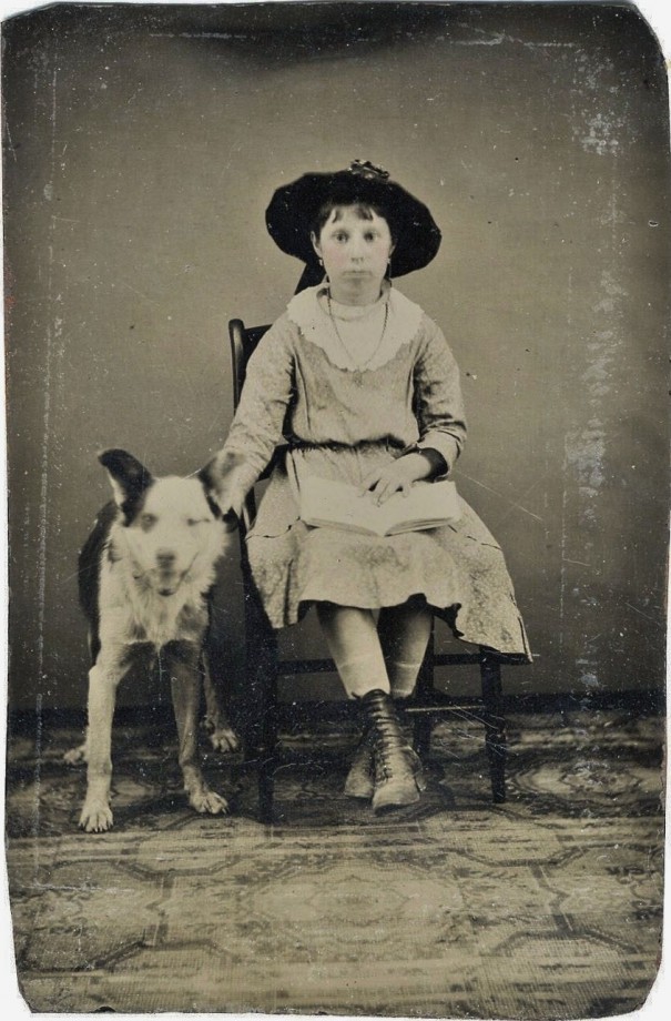 photo-chien-ancienne-29