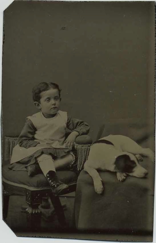 photo-chien-ancienne-30