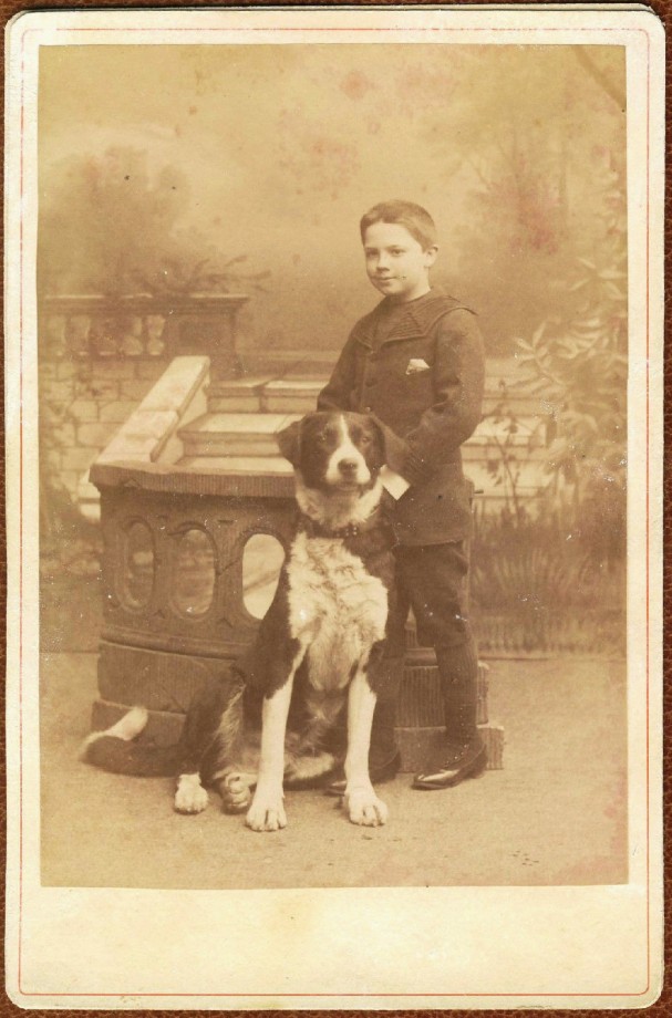 photo-chien-ancienne-34