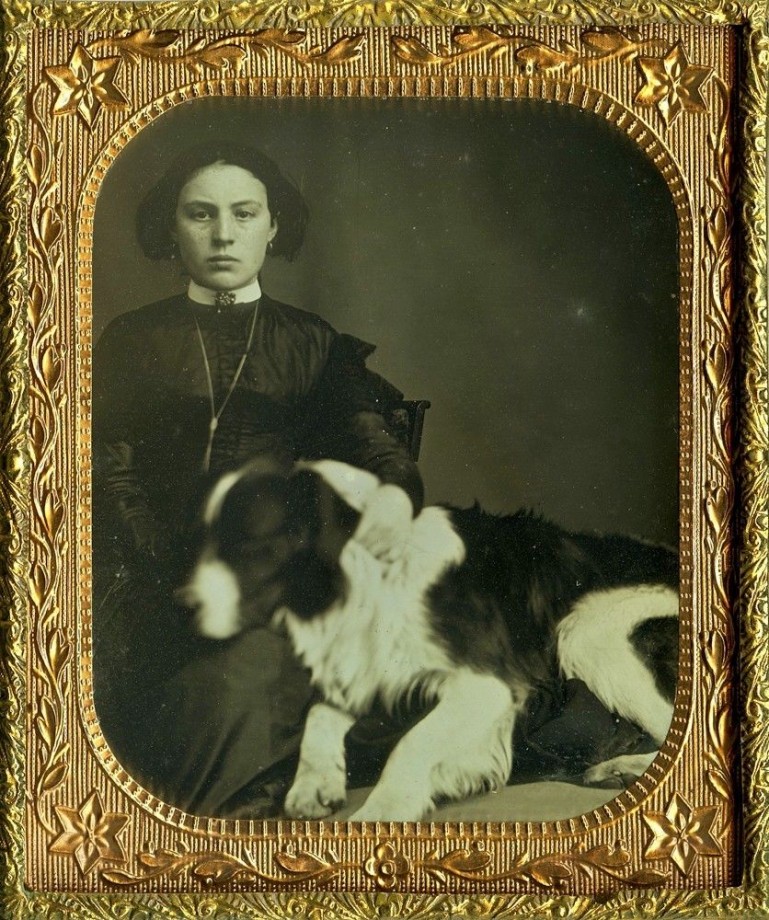 photo-chien-ancienne-37