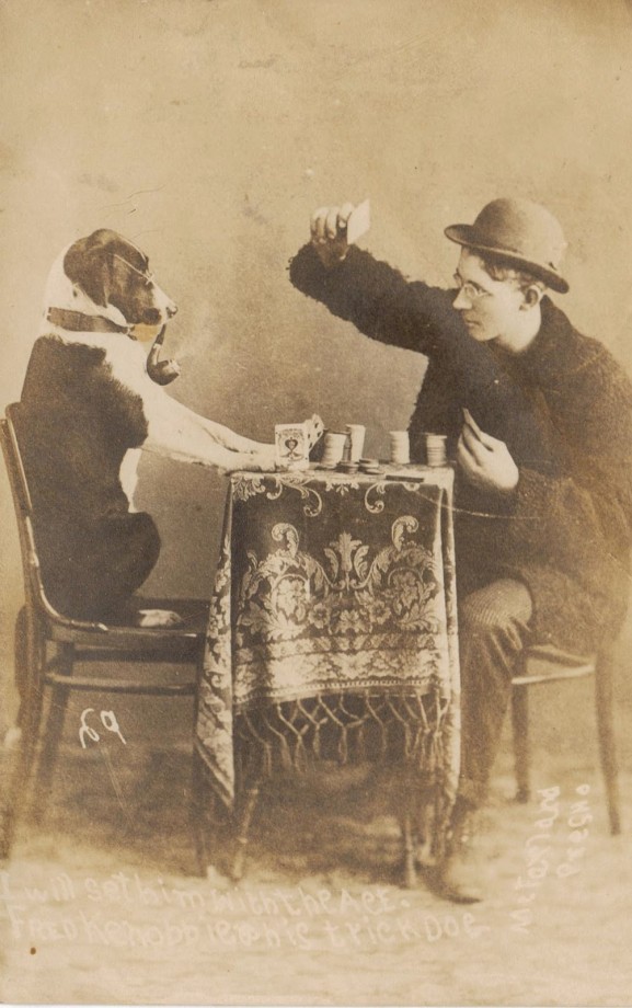 photo-chien-ancienne-39