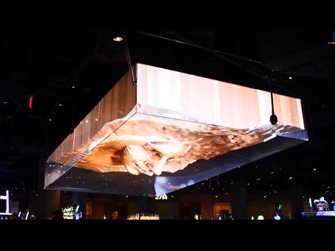 Une projection 3D au plafond d’un bar de Las Vegas