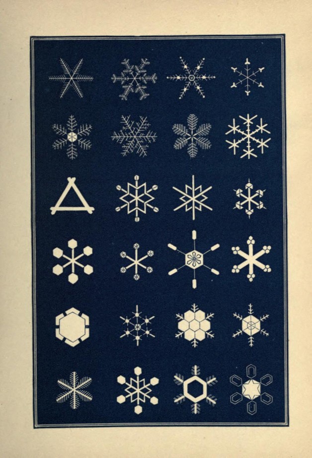 graphisme-illustration-flocon-neige-05