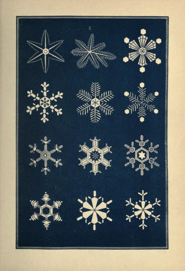 graphisme-illustration-flocon-neige-10
