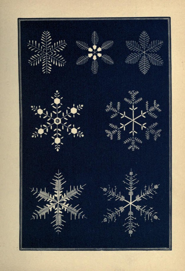 graphisme-illustration-flocon-neige-12