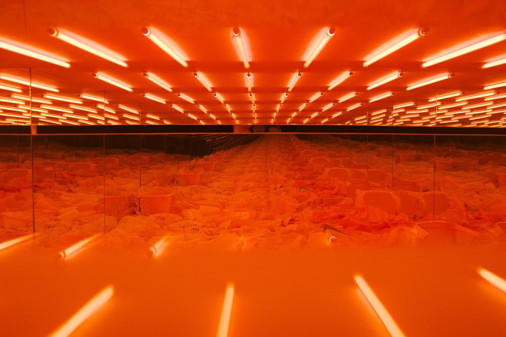 oeuvre-art-neon-couleur-15
