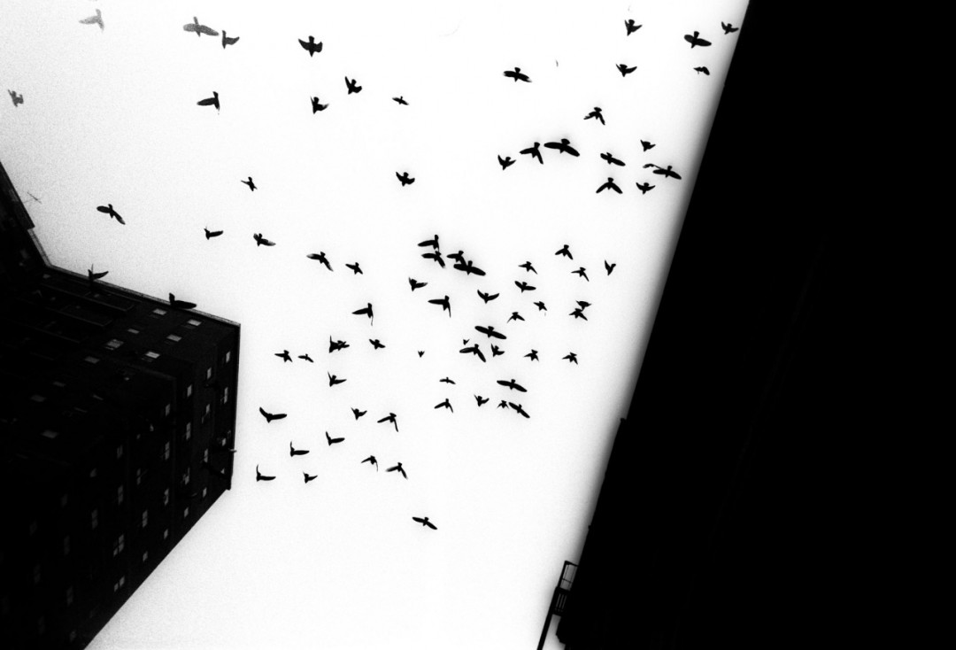 rue-nuit-newyork-07