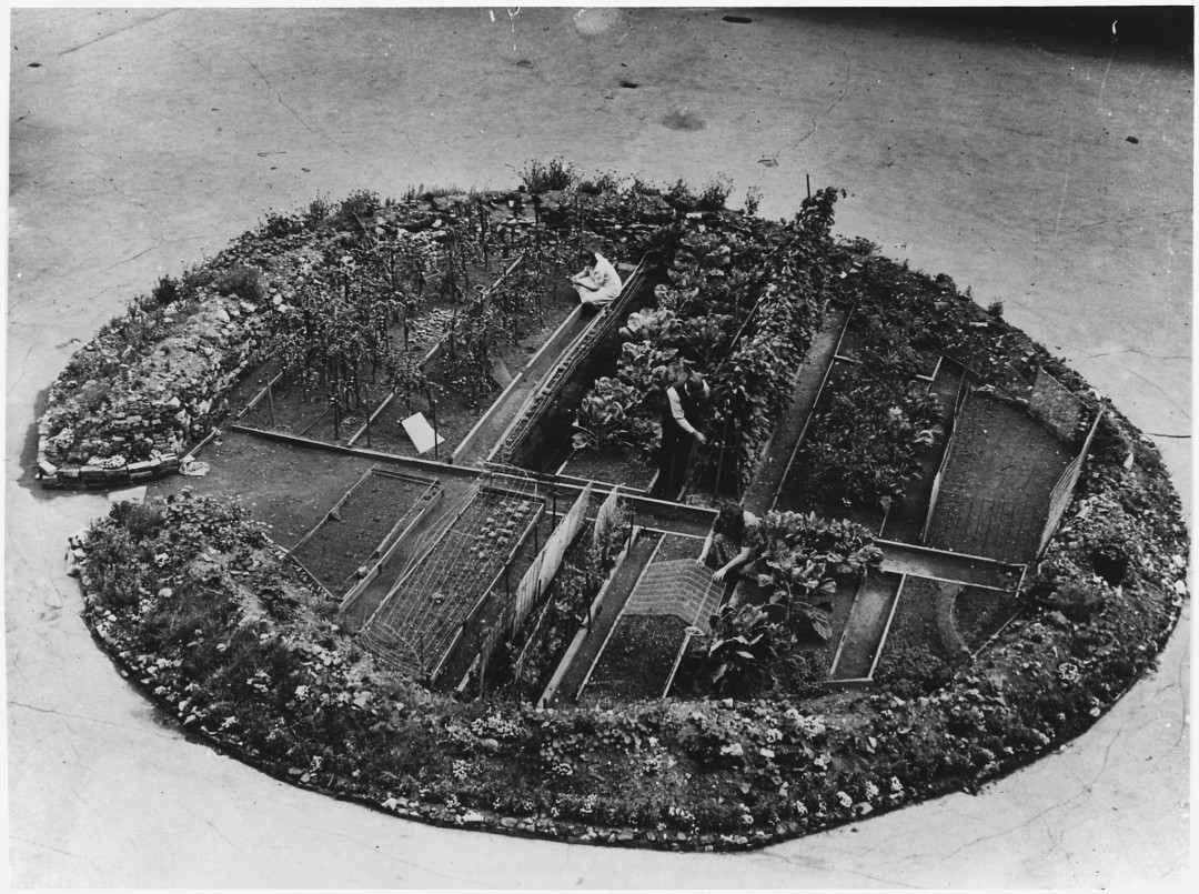[Mystère #150] Un jardin de la victoire dans un cratère de bombe – 1942