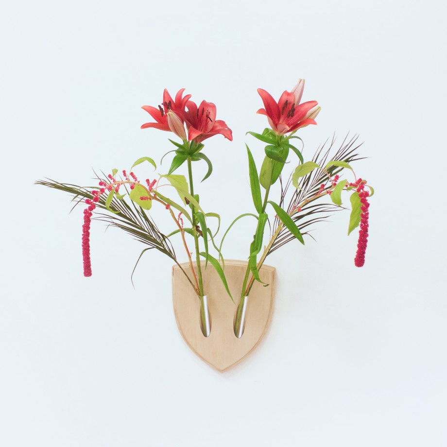 trphe-botanique-01