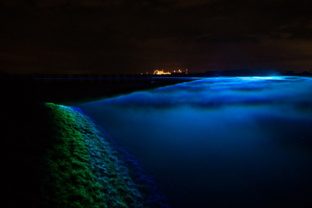 inndation-lumineuse-05