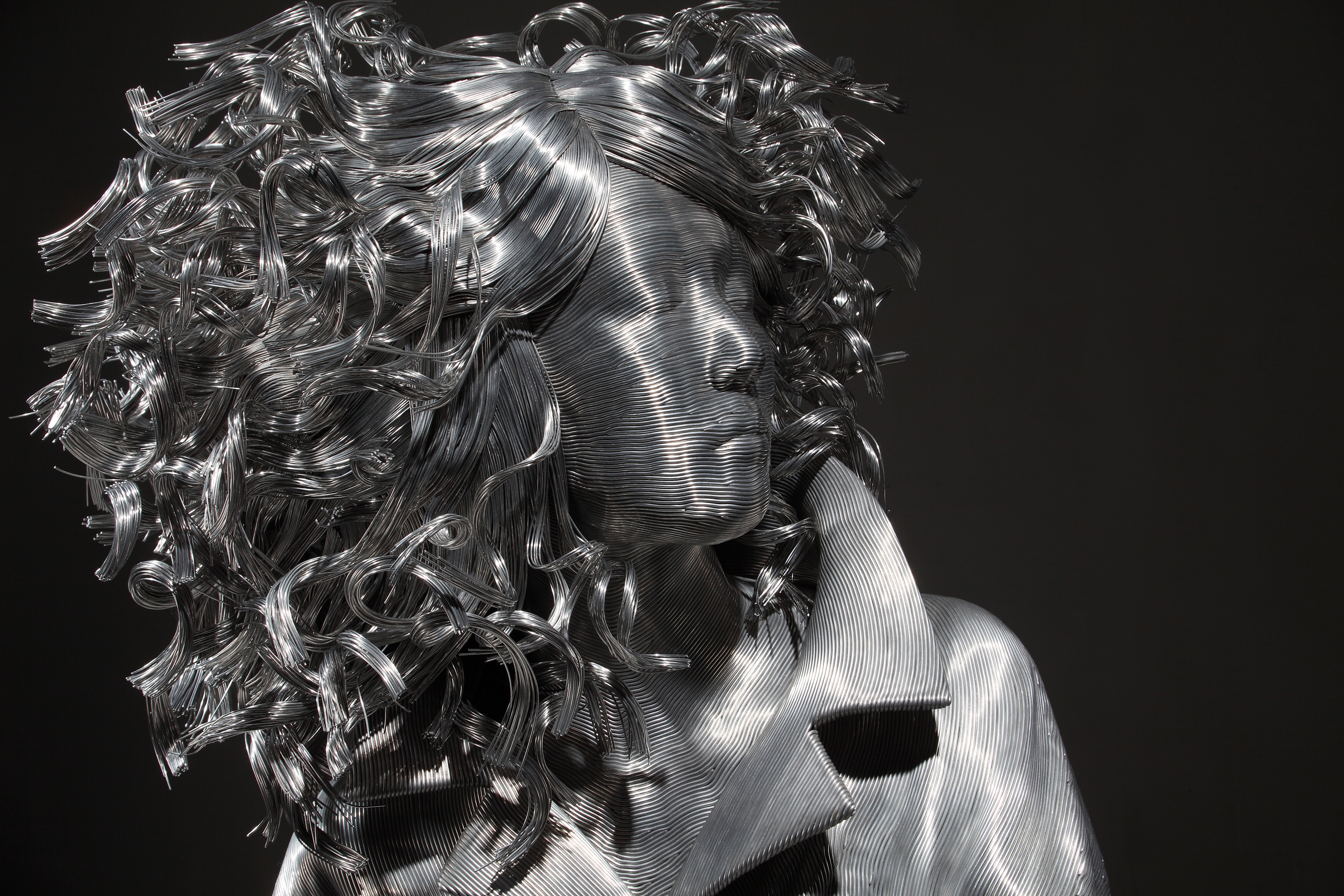 Des sculptures en fils d&rsquo;aluminium