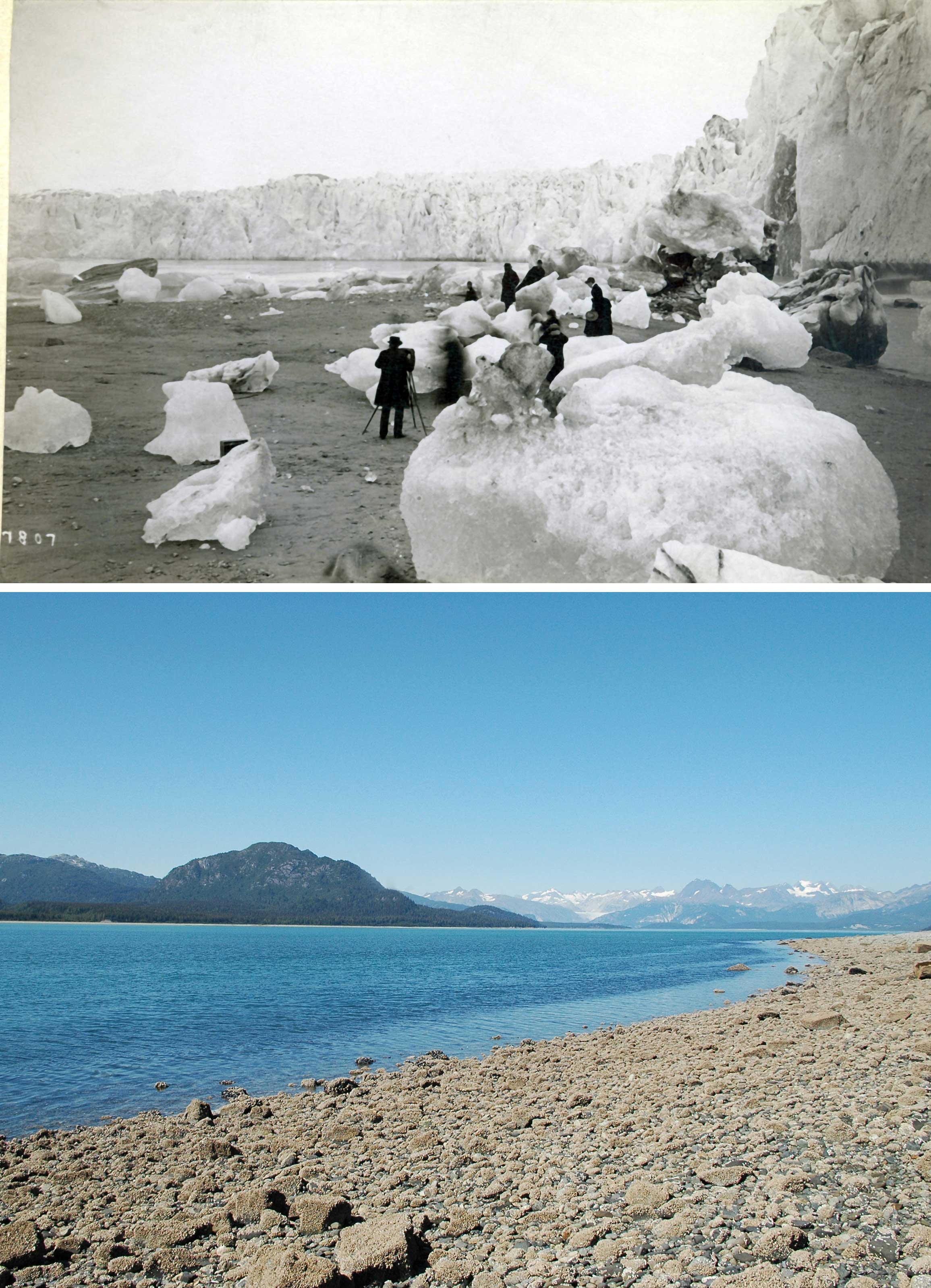 Le recul des glaciers en Alaska photographié au cours du siècle dernier