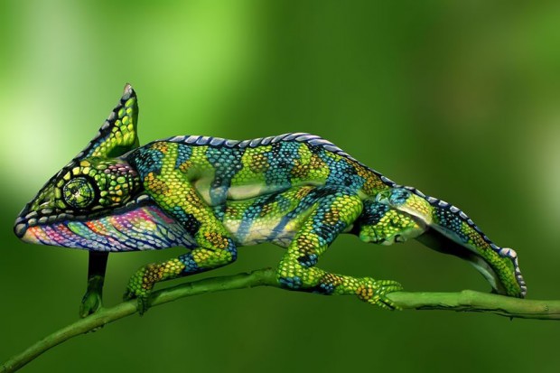 Un body painting de Caméléon