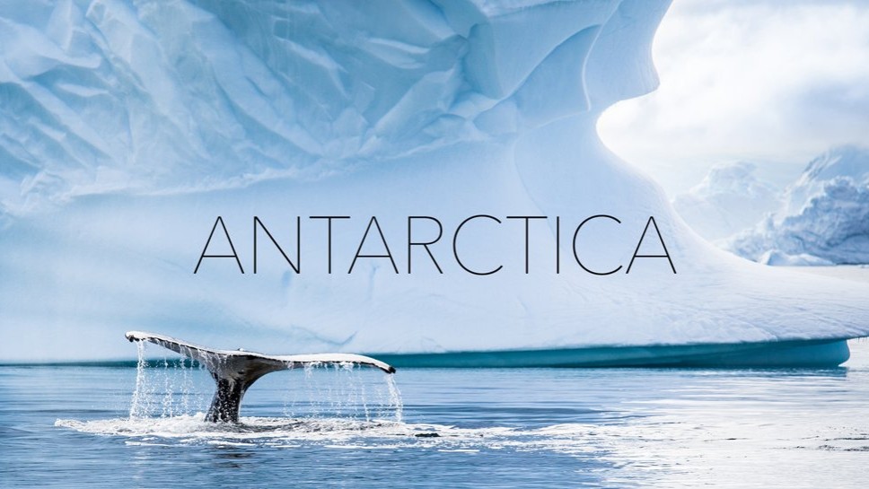 C’est joli l’Antarctique