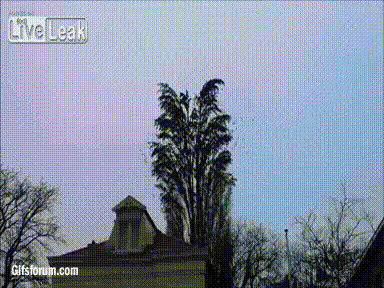 gif-anime-23