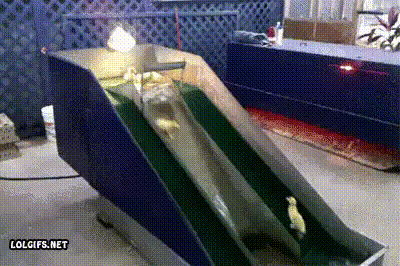 gif-anime-34