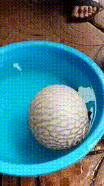 gif-anime-35