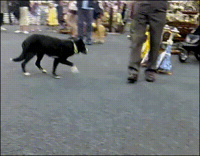 gif-anime-44