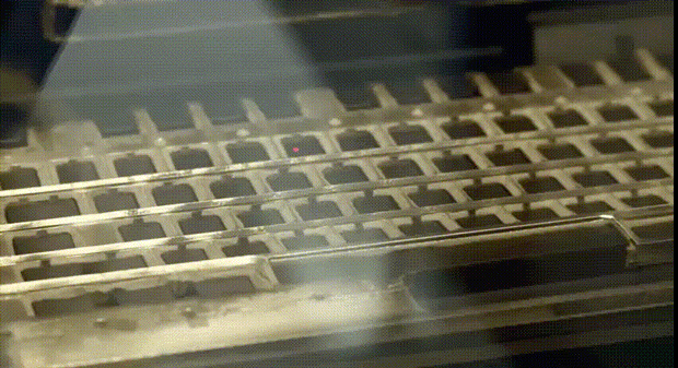 gif-animev2-01