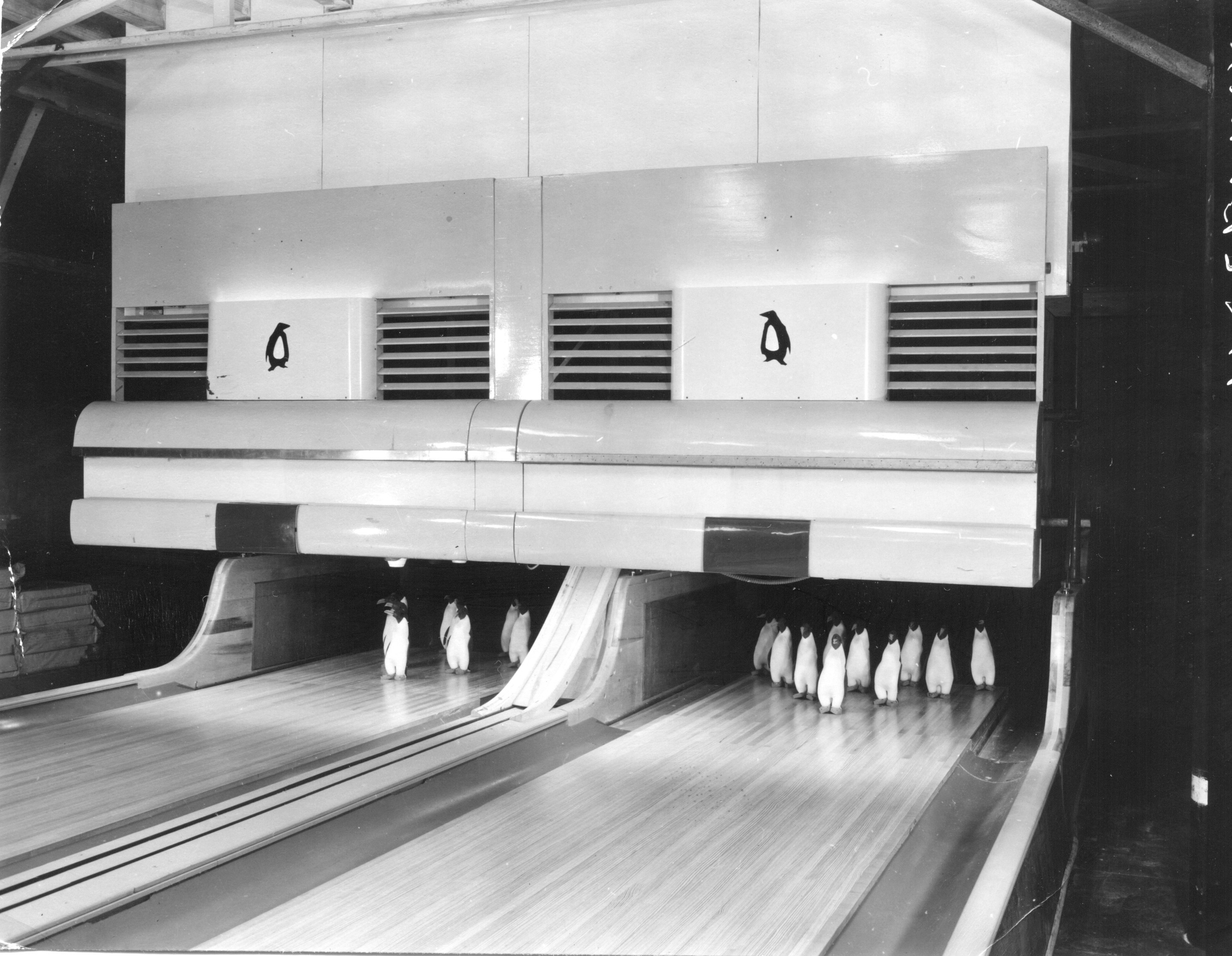 [Mystère #158] Une piste de bowling en Antarctique