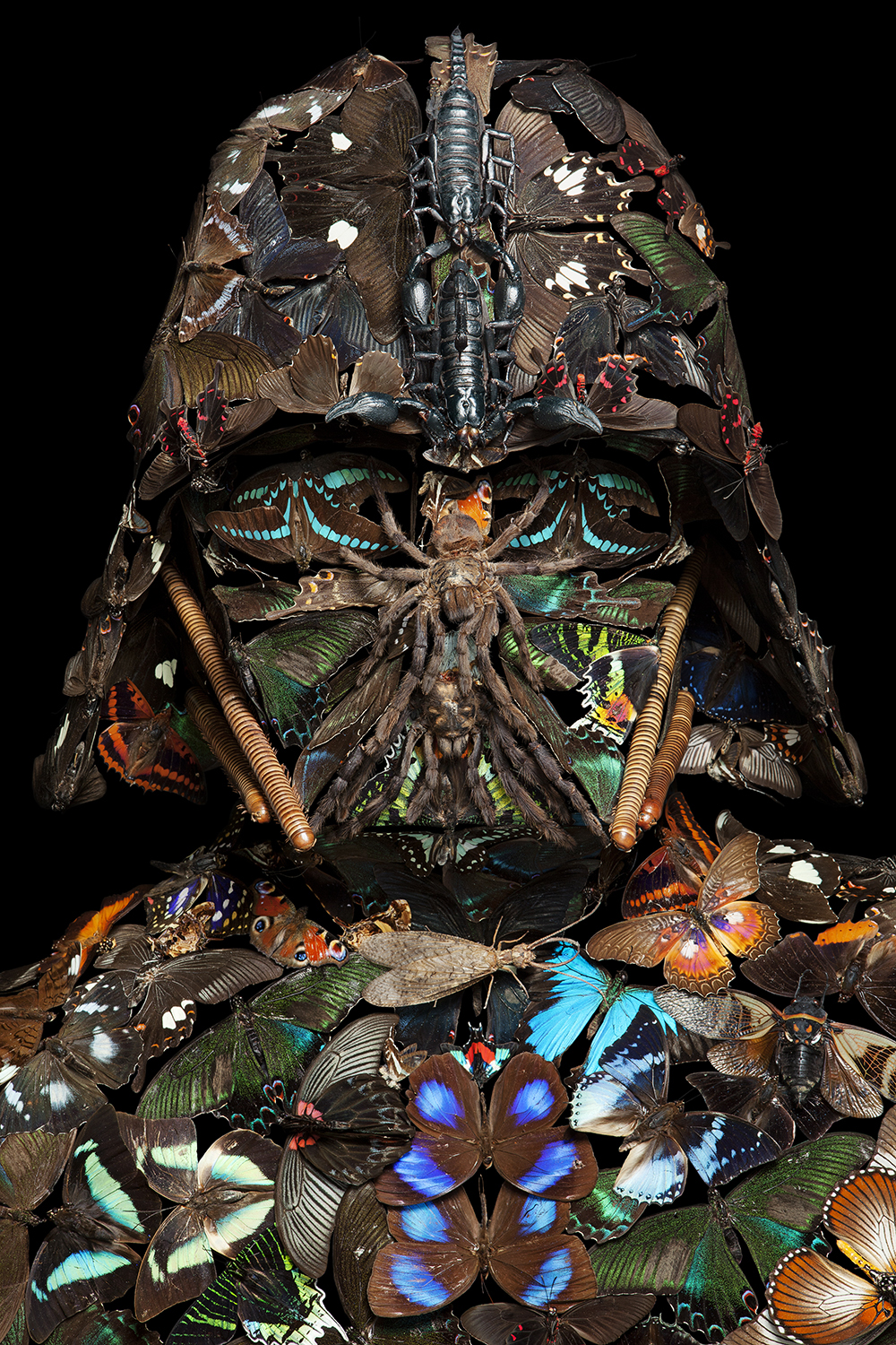 Darth Vader et d’autres personnages en plantes et animaux