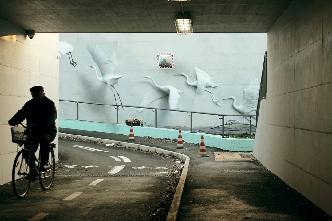 eron-fresque-italie-oiseau-02