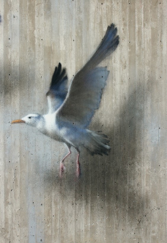 eron-fresque-italie-oiseau-03