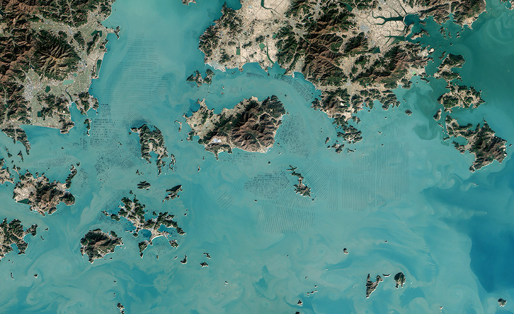 feme-algue-coree-sud-02