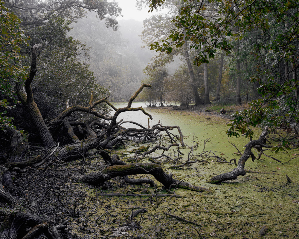 The Floods - Joe Wright