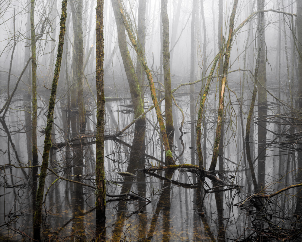 The floods - Joe Wright