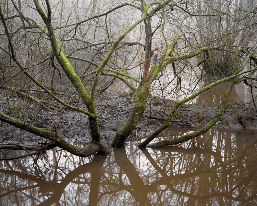 The floods - Joe Wright