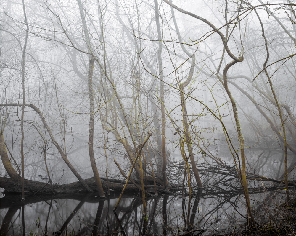 The floods - Joe Wright