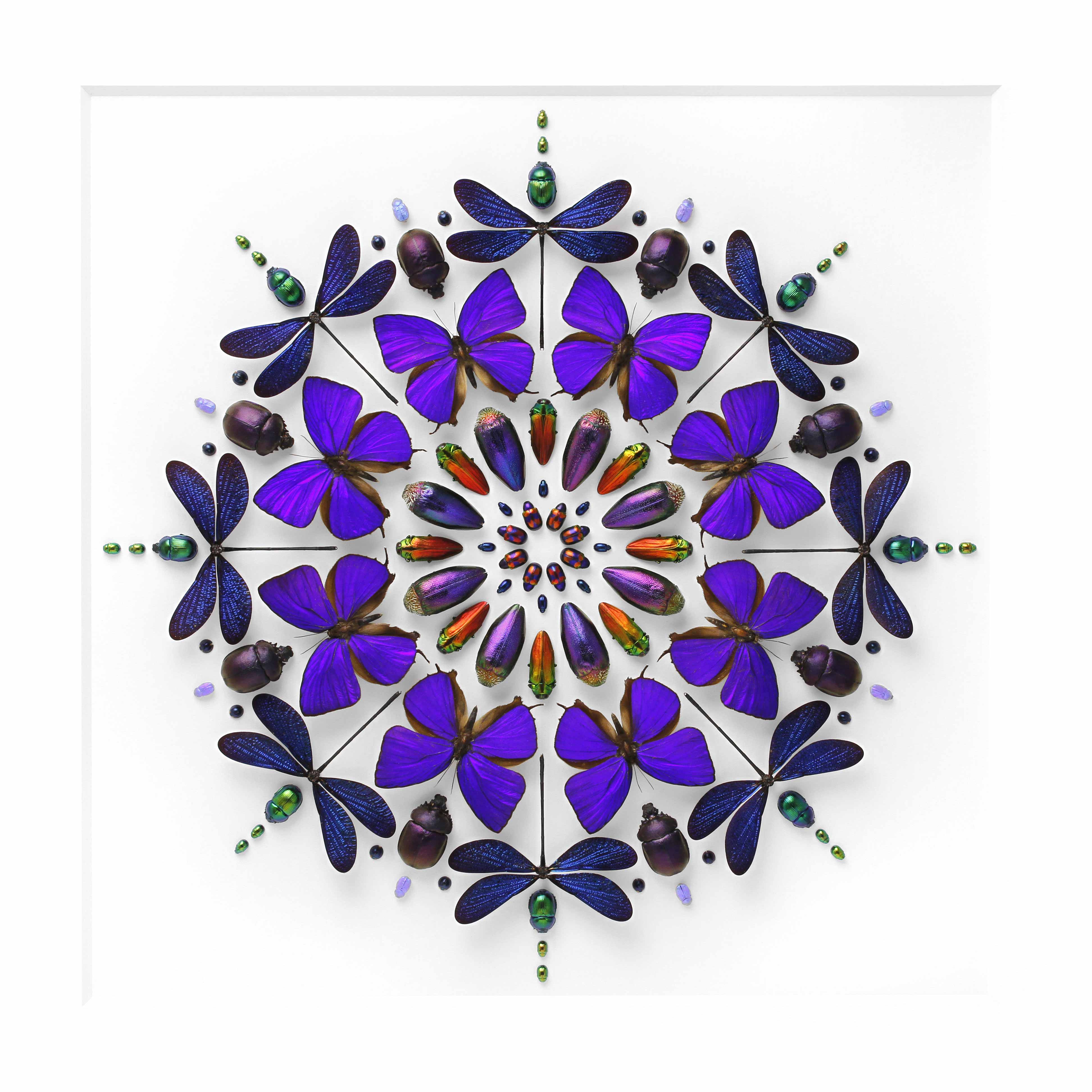 mosaique-insecte-02