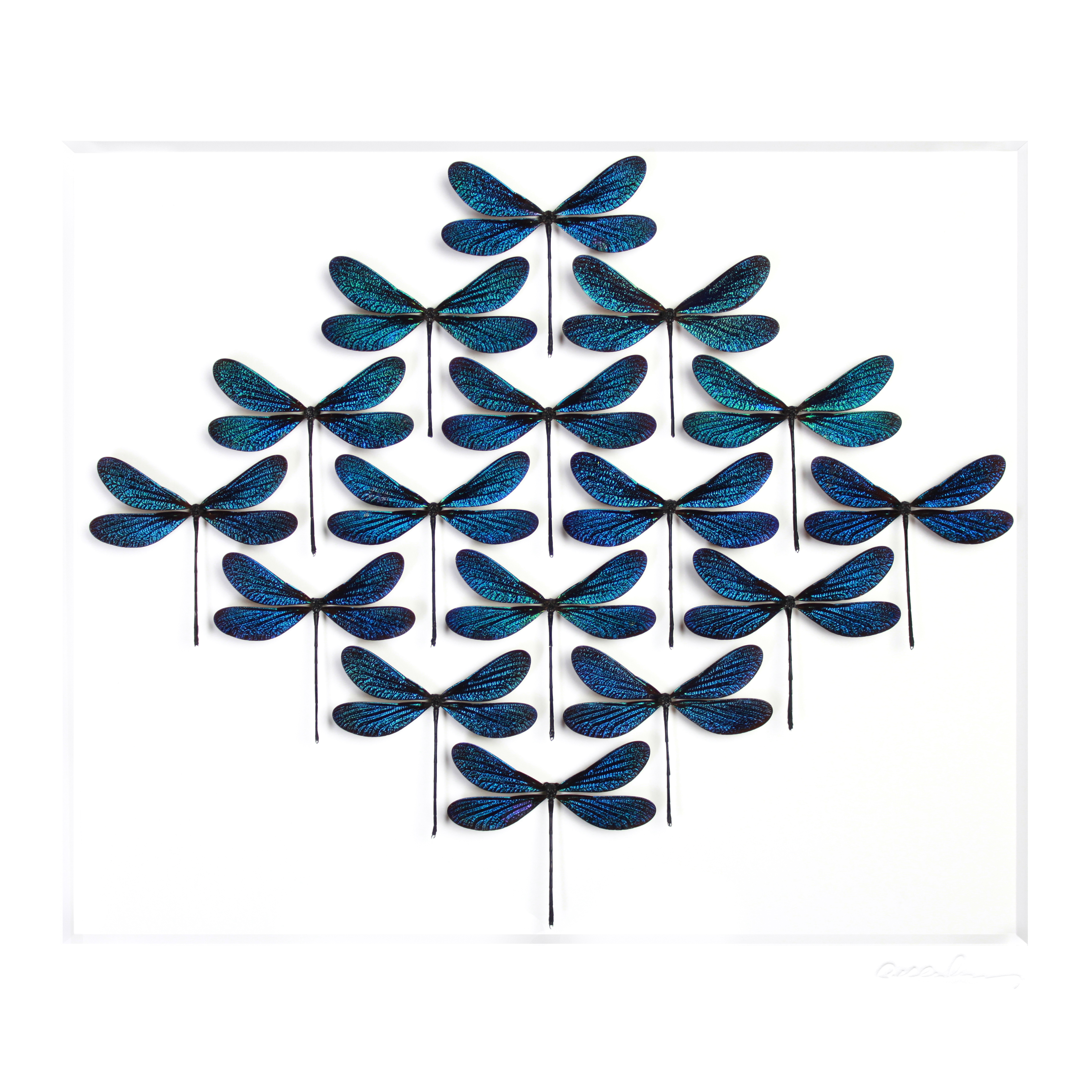 mosaique-insecte-07