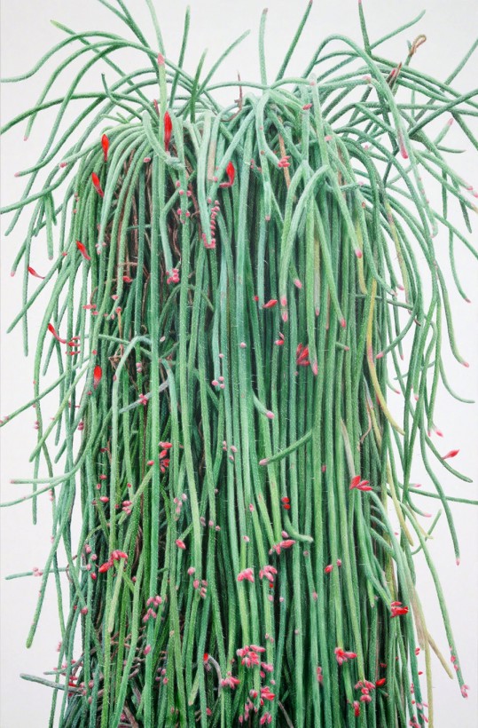 peinture-actus-04