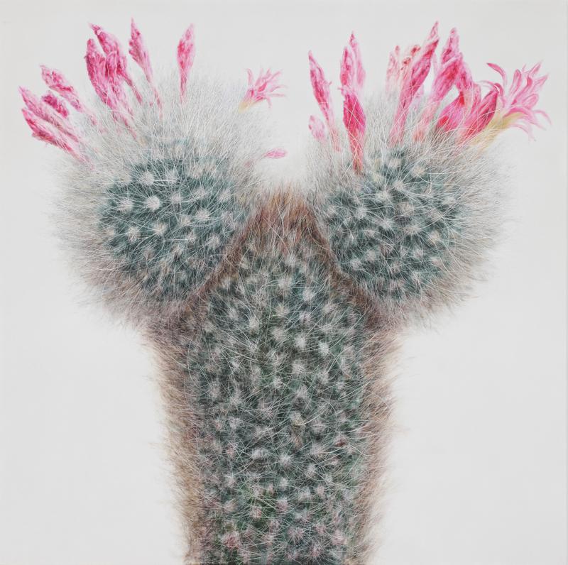 peinture-actus-06